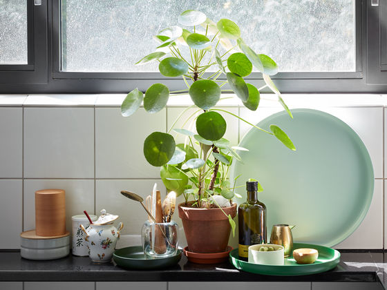 办公辅件|办公文具|办公火狐官方网站|火狐HUOHU（中国）火狐官方网站|托盘